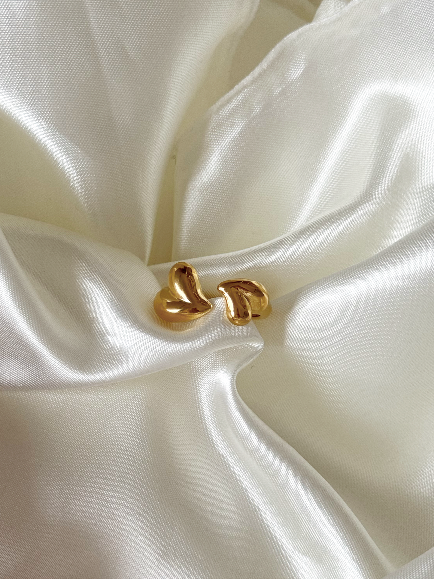 Anillo Unión
