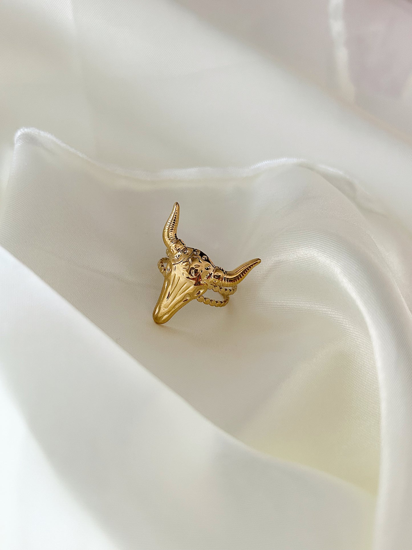 Anillo Burn