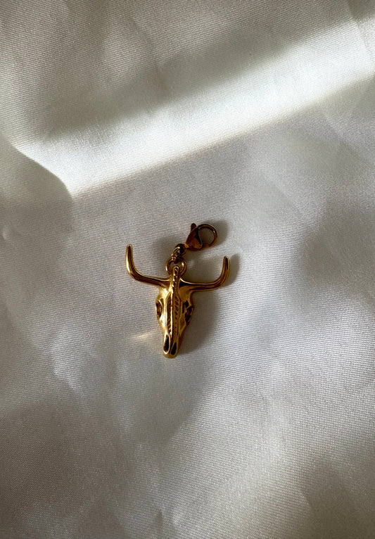 Charms cabeza