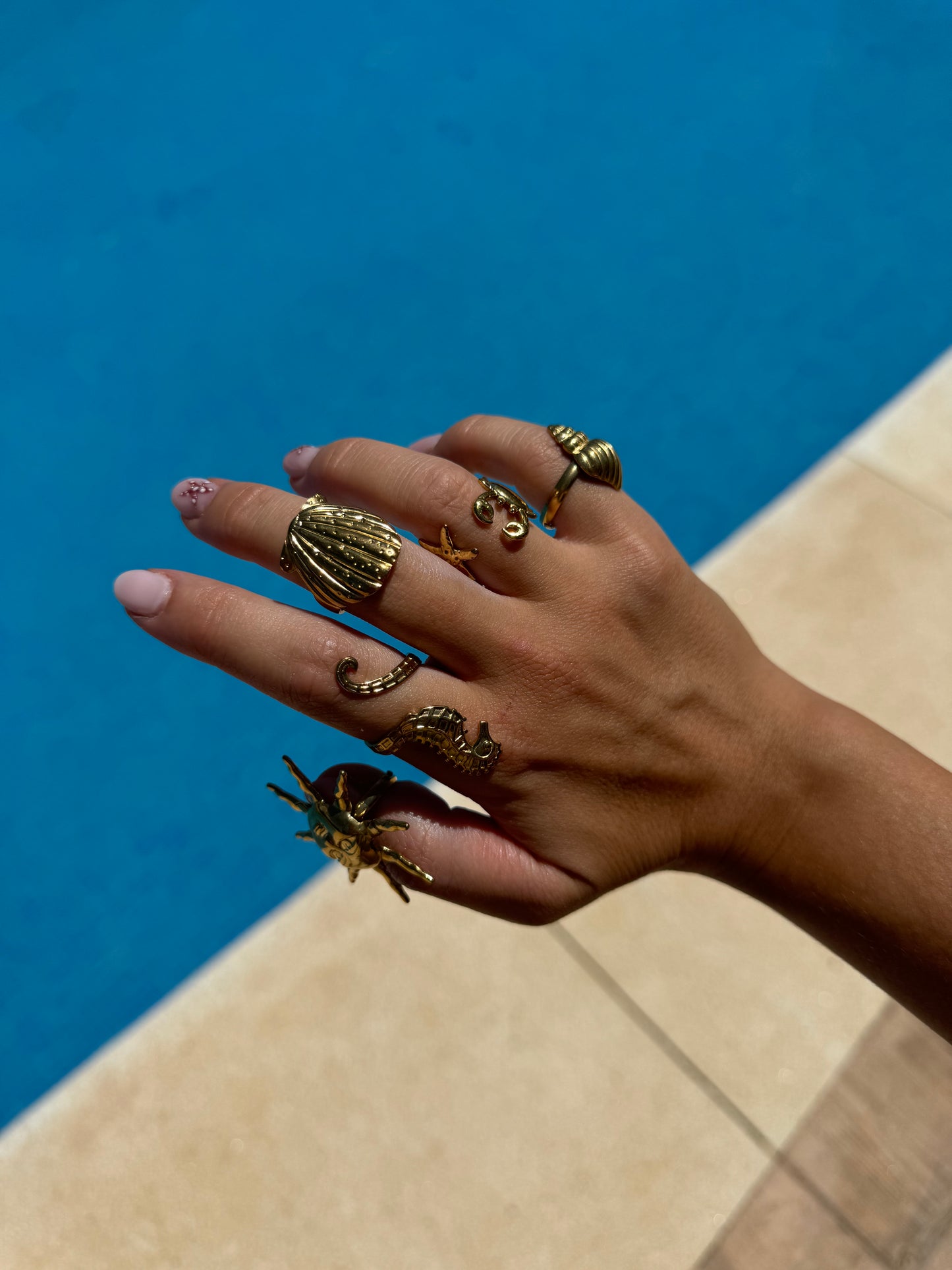 Anillo Caracola